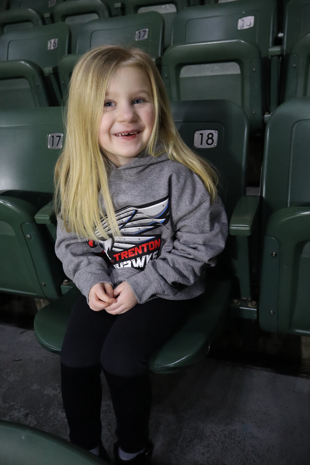 Youth Ironhawks Hoodie - Gray
