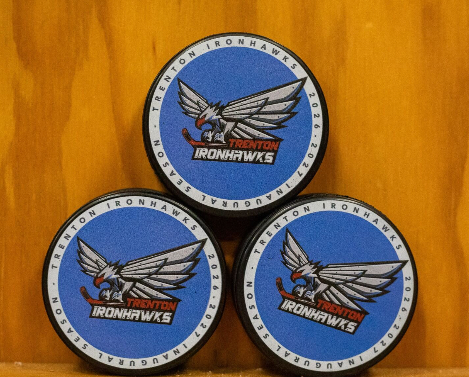 Ironhawks Inaugural Season Puck
